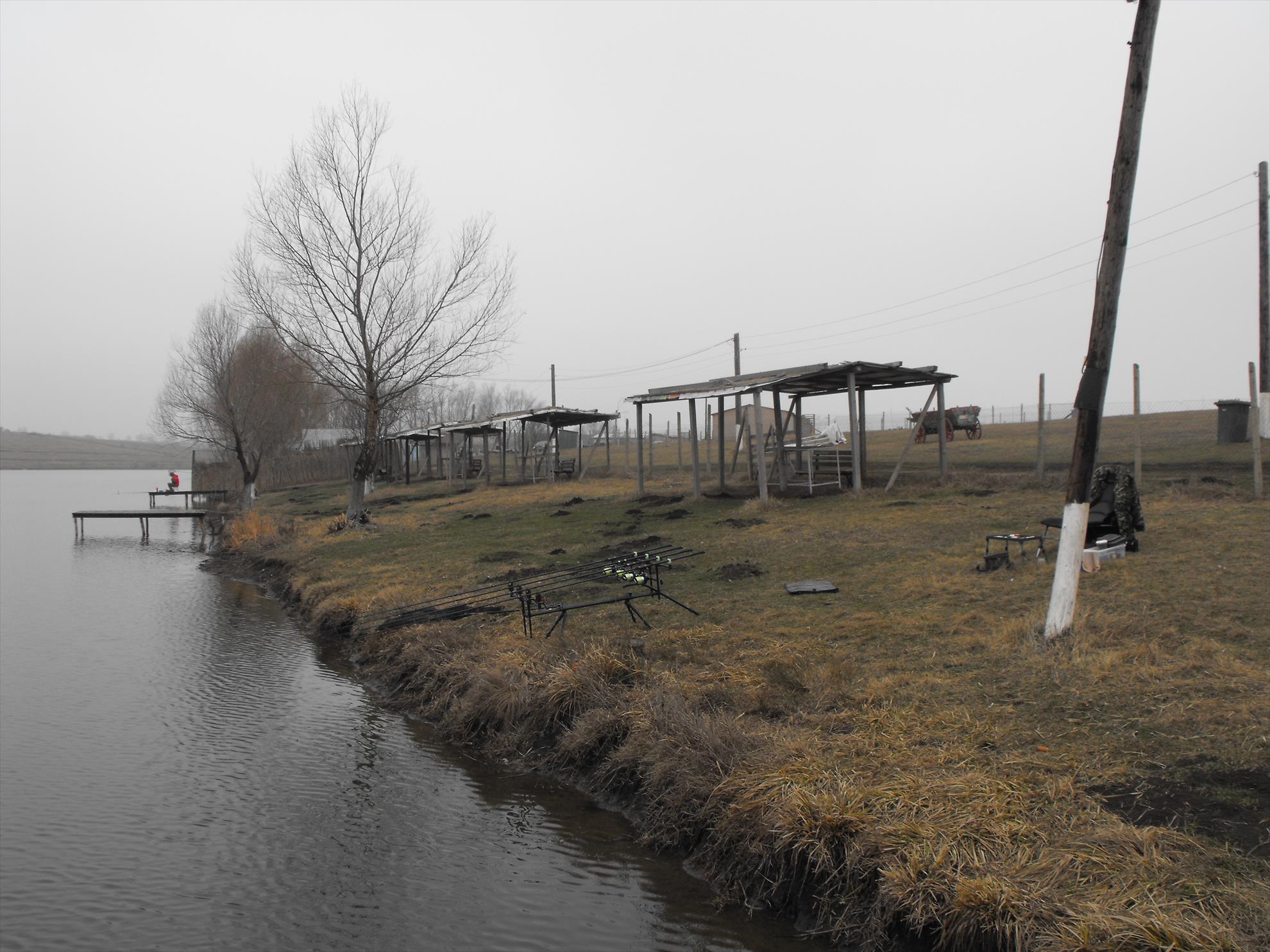 Greaca Cercani 1 mar. - dscf0863.JPG